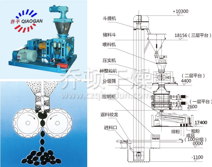 干法輥壓造粒機(jī)結(jié)構(gòu)示意圖